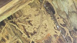 Often, the asphalt & paving contractor performing the work will have any required permits, inspections, etc. Home Liberty Pest Control