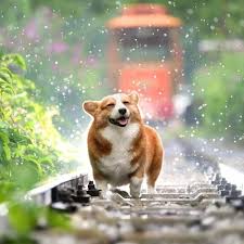 The uk's most exciting new speech radio station, this is personality driven radio at its best. Rain In Israel A True Blessing Returning Home By Israel News Talk Radio