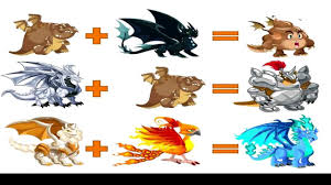 How To Breed Rare Hybrid Dragons In Dragon City Dragon City Dragon City Cheats Dragon City Game Последние твиты от dragoncity (@dragoncitygame). how to breed rare hybrid dragons in