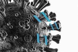 It has sickened more than 156 million people worldwide. An Experimental Peptide Could Block Covid 19 Mit News Massachusetts Institute Of Technology