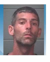 Owner of Florida Pro Paint arrested for contracting without license