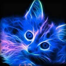 Download neon animal wallpapers untuk android di aptoide sekarang! Neon Animal Wallpaper Apps On Google Play