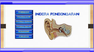 Maybe you would like to learn more about one of these? Indera Pendengaran Sistem Sonar Pada Makhluk Hidup Ppt Download