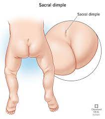 Cleft of venus pics