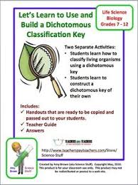 Let S Learn To Use And Build A Dichotomous Classification Key A Biology Lab Dichotomous Key Teaching Critical Thinking Life Science Activities