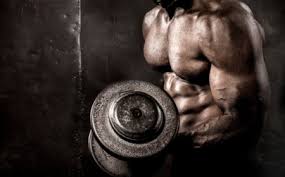 workout bodybuilding es