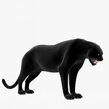 Panther 3d Model Max C4d Obj 3ds Fbx Lwo Stl 3dexport Com By Llleesh Panther 3d Model Animals