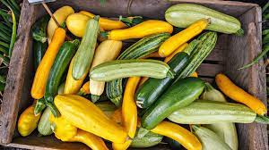 10 reasons for unreasonably high prices. How To Preserve An Abundance Of Squash And Zucchini Wkbn Com