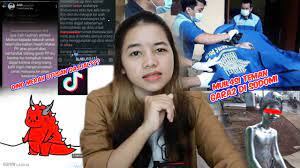 To start the game, just jump (space bar or up arrow). Misteri Di Balik Pp Dino Merah Dan Manusia Silver Mutil4si Teman Nya çš„youtubeè¦–é »æ•ˆæžœåˆ†æžå ±å'Š Noxinfluencer