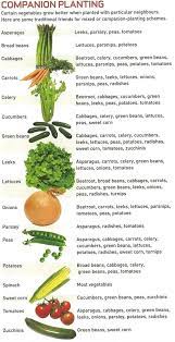10 Fruits And Vegetables That Grow Fast Companion Planting Vegetables Garden Companion Planting Veg Garden