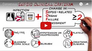 Image result for Sepsis