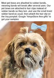 Comsmart 60pcs dog bows, 30 pairs yorkie dog puppy hair bows with rubber bands & rhinestone pearls & handmade lace fabric, cute pet small dog hair bowknot grooming accessories. Hipgirl Cute Puppy Dog Hair Bows Dog Bows For Small Dogs Hair Styling Pet Hair Accessories Bows For Dogs Great Dog Accessories To Match Small Dog Clothes Pet Grooming Products Pricepulse