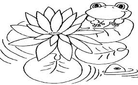 Cara menanam bunga teratai di kolam atau di pot 16 10 2019 cara menanam bunga teratai flowerian com bunga teratai bunga yang memiliki habitat di air ini merupakan photokabalfalah cara mewarnai gambar bunga teratai yaitu. Gambar Mewarnai Bunga Teratai Gambar Mewarnai