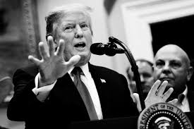 Check spelling or type a new query. The 25th Amendment Loophole Democrats Could Use Against Trump Vanity Fair