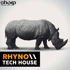 Rhyno Tech House