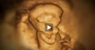 Il se prépare pour le grand jour ! Video Developpement Du Foetus 4eme Mois De Grossesse Magicmaman Com