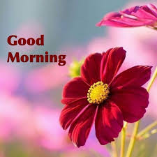 Pin On Good Morning