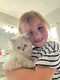 Air purifier recommendations for home use