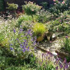 Salbei Blauraute Und Rosen Bluhen Noch Wunderschon Und Dazu Machen Sich Graser Gut Ehemaligemsg Fotocommunity Gartentipps Gartentipps Garten Design Garten