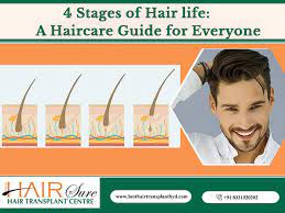 Applying conditioner after shampooing your hair is essential to maintaining healthy locks. 4 Stages Of Hair Life How You Can Keep Your Hair Healthy In All Four Phases Cyber Hairsure