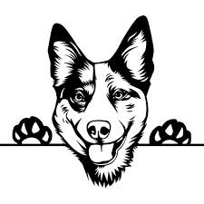 Black And White Blue Heeler Clipart Pin On Watercolor Ideas