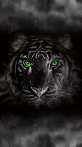 Download Tiger Black Wallpaper By Dathys 7b Free On Zedge Now Browse Millions Of Popular Black Wallpapers And Ring Tiger Wallpaper Animal Wallpaper Tiger