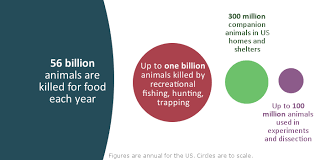 Check spelling or type a new query. Animal Advocacy By Numbers Faunalytics