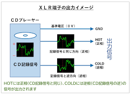 Xlr ホット コールド