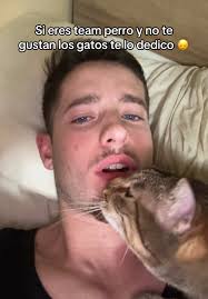 Ford Mustang GT V8 Exaust Sound ❤️❤️❤️ A donation for a dream My big d...