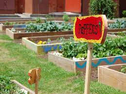 Guerrilla gardening may sound unusual, but it's actually a concept that has been around for years. Get Into Guerrilla Gardening Saga