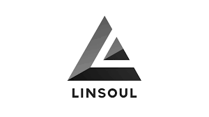 Linsoul