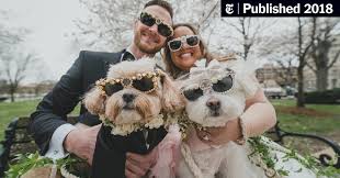 Subtereignean (4.84) diamonds are a girl's best friend. Who Let The Dogs Out At The Wedding Readers Respond The New York Times