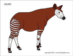 Okapi live in dense rain forests along rivers and swamps in the tropical forests of northeastern zaire, africa. Okapi Free Printable Templates Coloring Pages Firstpalette Com