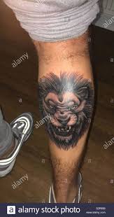 Löwen tattoos werden vor allem von männern getragen, obwohl einige frauen das auch gerne tragen. Lowen Tattoo Stockfotos Und Bilder Kaufen Alamy