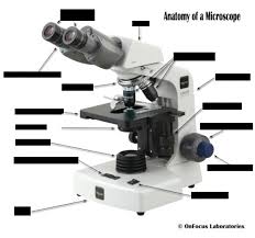 Check spelling or type a new query. Microscope Labeling 1 Diagram Quizlet