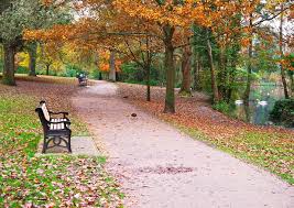 Business times for sainsbury's in eastbourne, hampden park may change from daily times during uk national holidays. Autumn Path Through Hampden Park Lionel Fraser Pictures Of Eastbourne England Photography Landscapes Nature Seasons Autumn Artpal