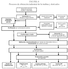 La Inulina Y Derivados Como Ingredientes Claves En Alimentos Funcionales