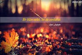 Yaprakların dökülüp saralmasından mıdır yoksa. Sonbahar Ile Ilgili Sozler Guzel Sozler Guzel Mesajlar
