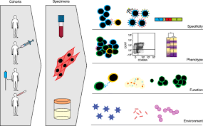 Maybe you would like to learn more about one of these? Advanced Model Systems And Tools For Basic And Translational Human Immunology Genome Medicine Full Text