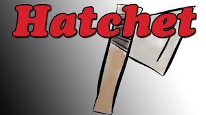 See the related link to learn more about the hatchet movie. Hatchet By Gary Paulsen Book Summary And Review Minute Book Report Youtube
