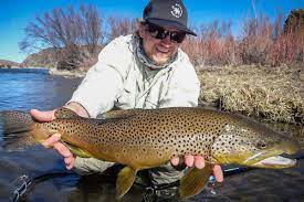 Fly fishing at the cameron bridge is the classic spot to fish for wild trout close to bozeman, mt on the iconic gallatin river. Trophy Trout Fishing In Montana Fly Fishing With Montana Angler