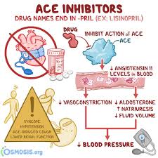 Image result for ACE Inhibitor