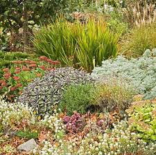 These are the plants which will live from. 15 Best Fall Flowers And Plants Flowers That Bloom In Autumn