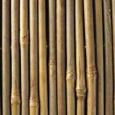 Große auswahl an bamboo fun. Pin On Community Garden