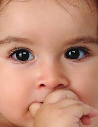 The 2011 AnnuAl RepoRT of Kids in disTRess