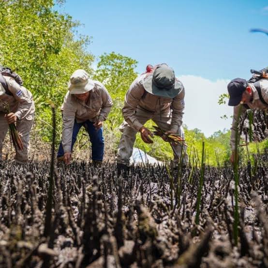 Trabajadores de MARN realizando inspecciones de rutina en campo