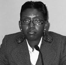 Planning Commission meets with new members