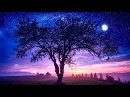 Sleep Music 432hz Fall Asleep Fast And Easy Healing Sleep Patterns Let Go Feel Safe Yo How To Fall Asleep Chakra Healing Music Meditation Music Sleep