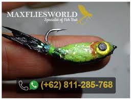 Mancing ikan tipe ini boleh pagi maupun sore hari. Umpan Mancing Ikan Mujair Merah Umpan Ikan Nila Merah Liar Maupun Kolam Kumpul Jevt Online