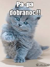 Znalezione obrazy dla zapytania: dobranoc gif